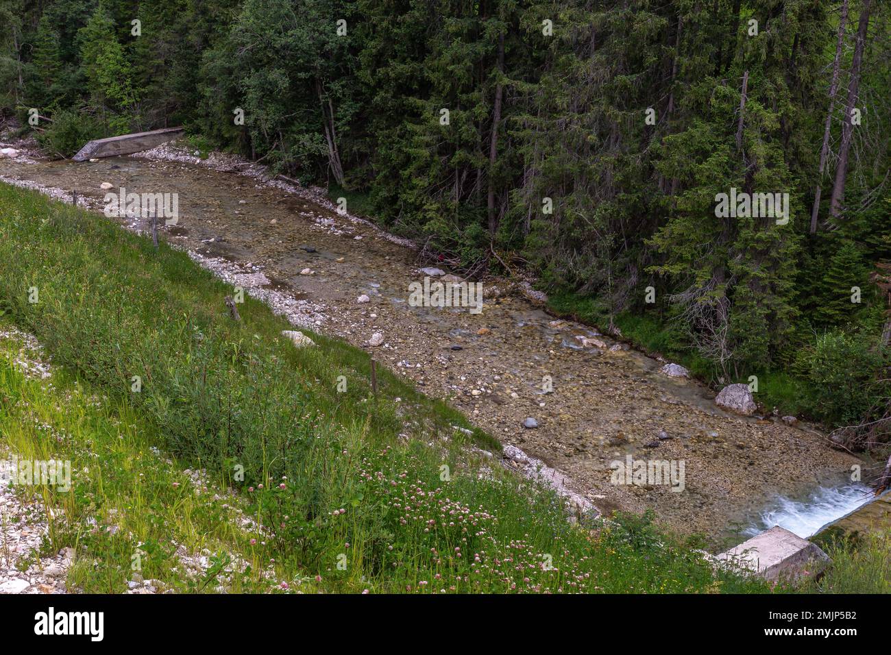 Tranquillo torrente di montagna nelle alpi dell'alta Badia italiana Foto Stock