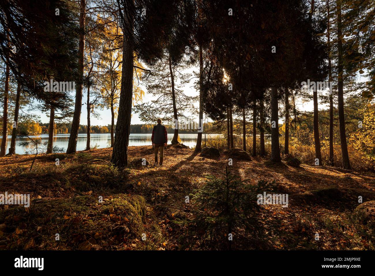 Uomo in piedi nella foresta vicino al lago un bel giorno di autunno soleggiato Foto Stock