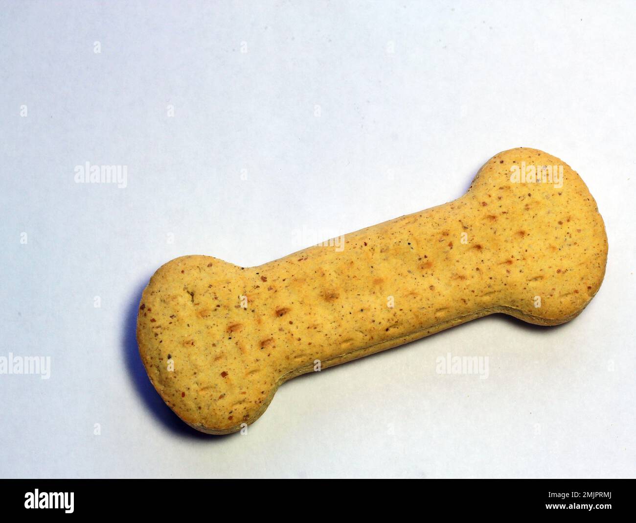 Biscotti per cani a forma di osso. Sfondo bianco. Foto Stock