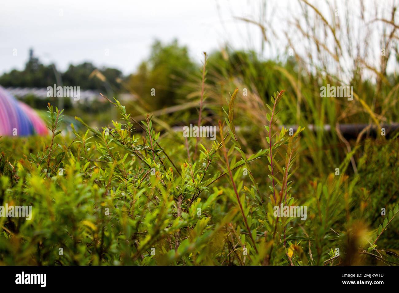 bella vista all'aperto Foto Stock
