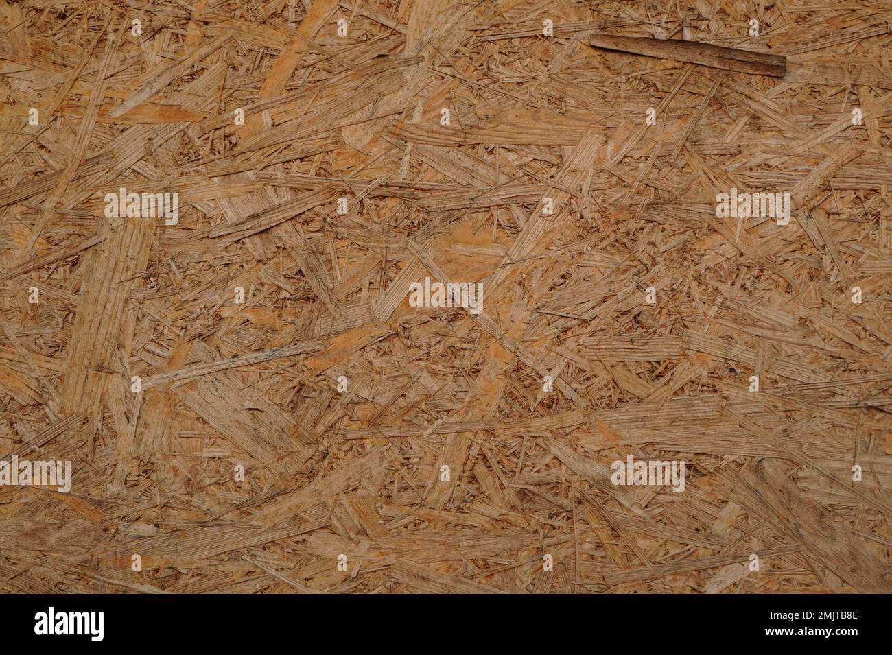 Primo piano del materiale da costruzione OSB (Oriented Strand Board). Sfondo texture ruvida. Foto Stock