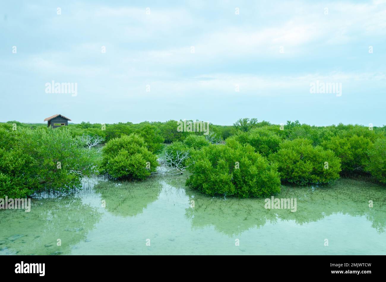 Incantevole bellezza dell'Isola Viola ad al Khor, Qatar Foto Stock