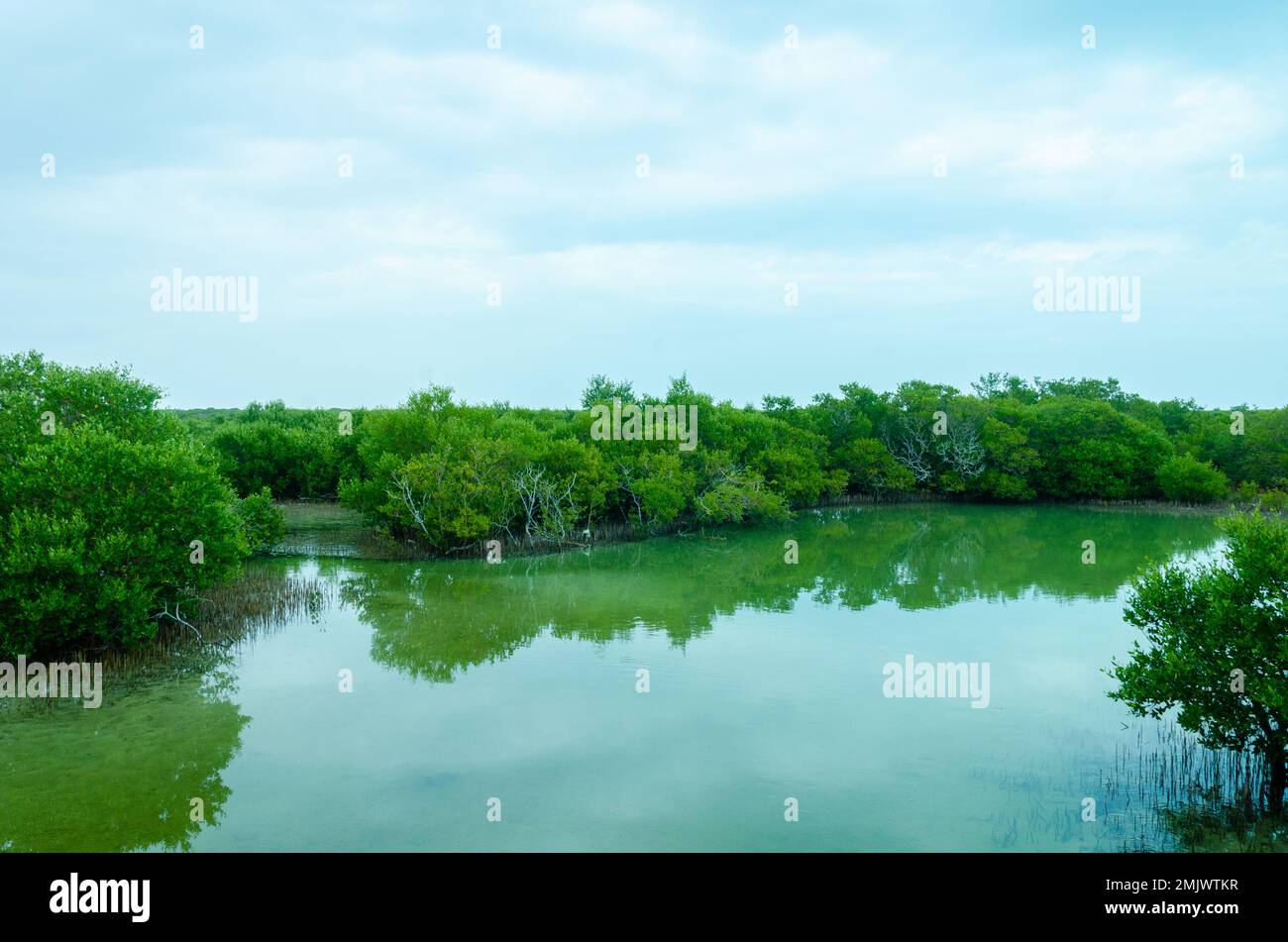Incantevole bellezza dell'Isola Viola ad al Khor, Qatar Foto Stock