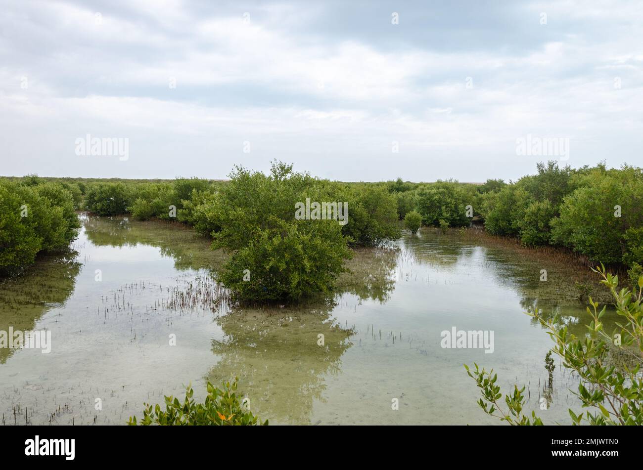 Incantevole bellezza dell'Isola Viola ad al Khor, Qatar Foto Stock