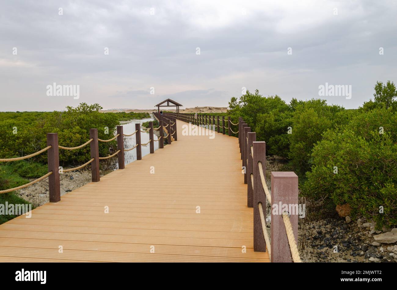 Incantevole bellezza dell'Isola Viola ad al Khor, Qatar Foto Stock