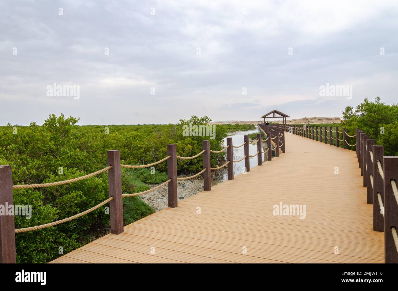 Incantevole bellezza dell'Isola Viola ad al Khor, Qatar Foto Stock
