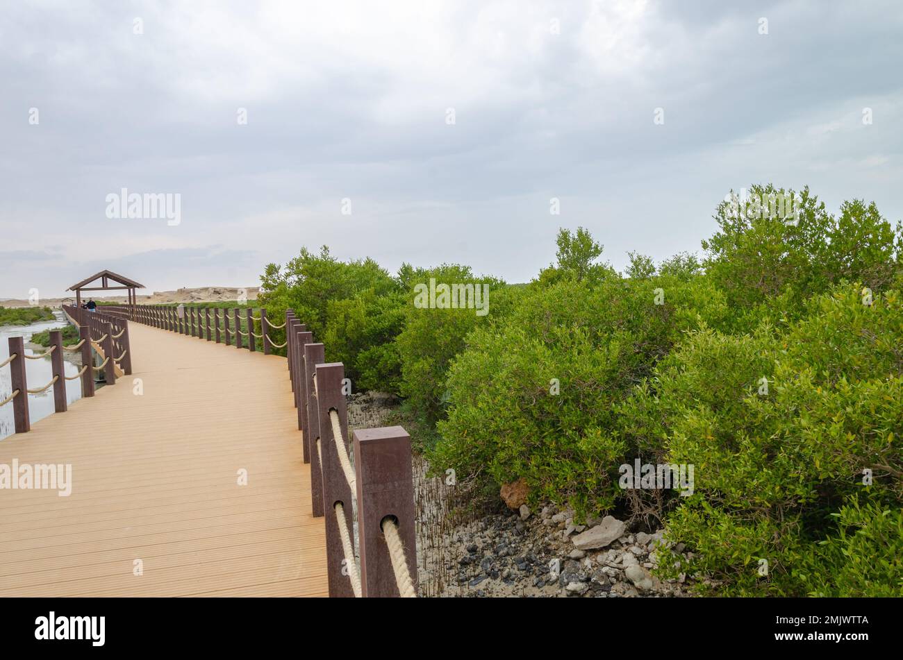 Incantevole bellezza dell'Isola Viola ad al Khor, Qatar Foto Stock