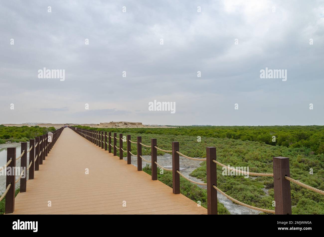 Incantevole bellezza dell'Isola Viola ad al Khor, Qatar Foto Stock