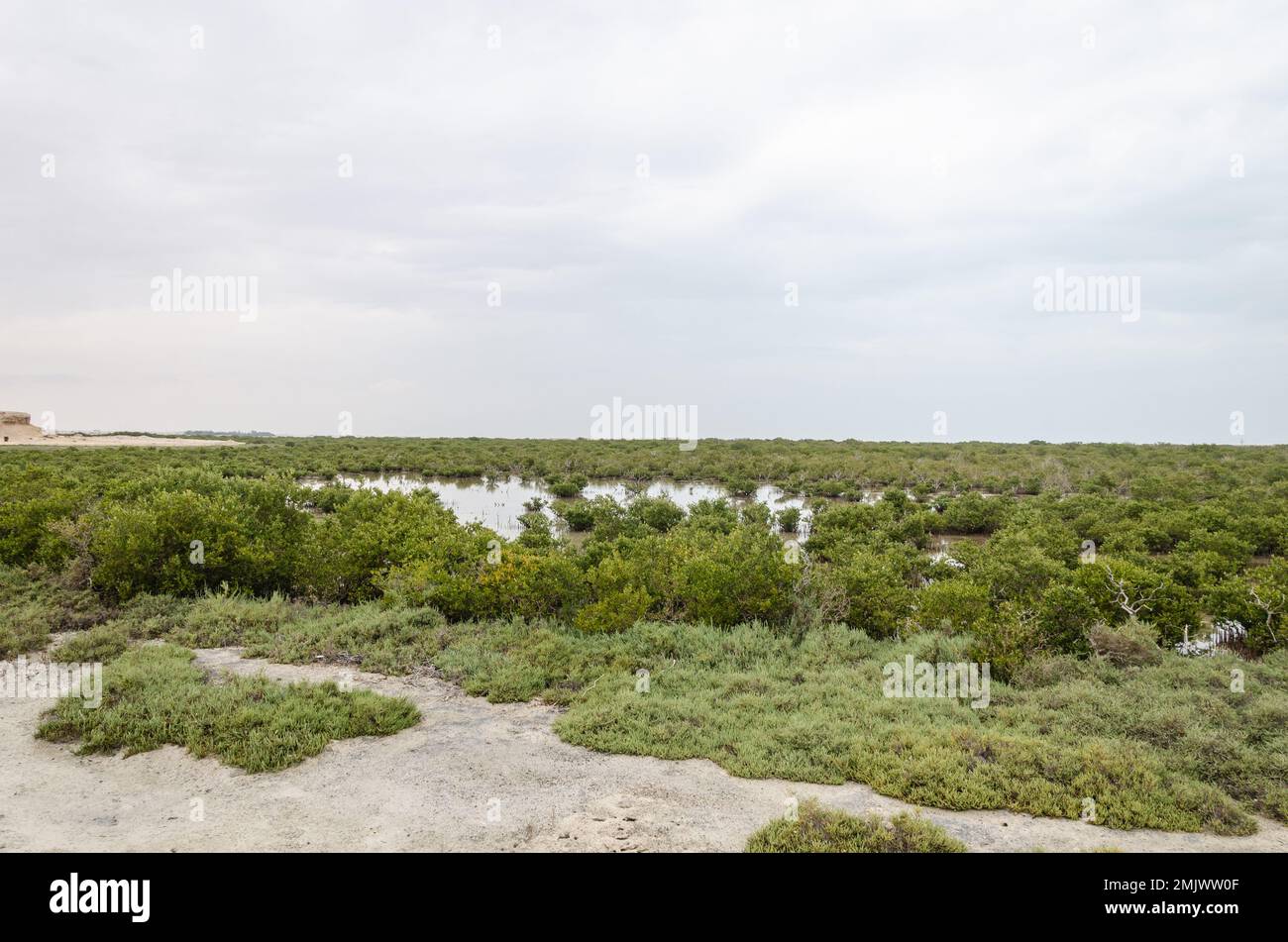 Incantevole bellezza dell'Isola Viola ad al Khor, Qatar Foto Stock