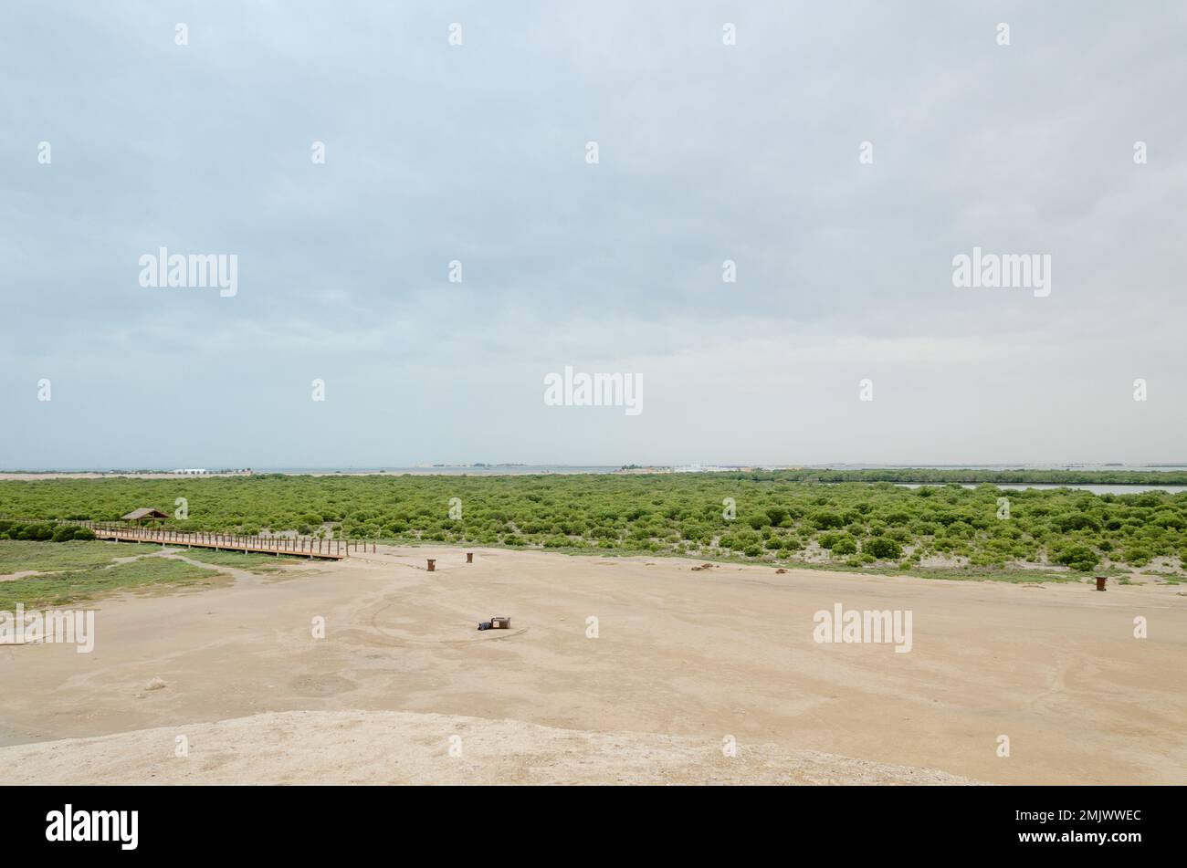 Incantevole bellezza dell'Isola Viola ad al Khor, Qatar Foto Stock