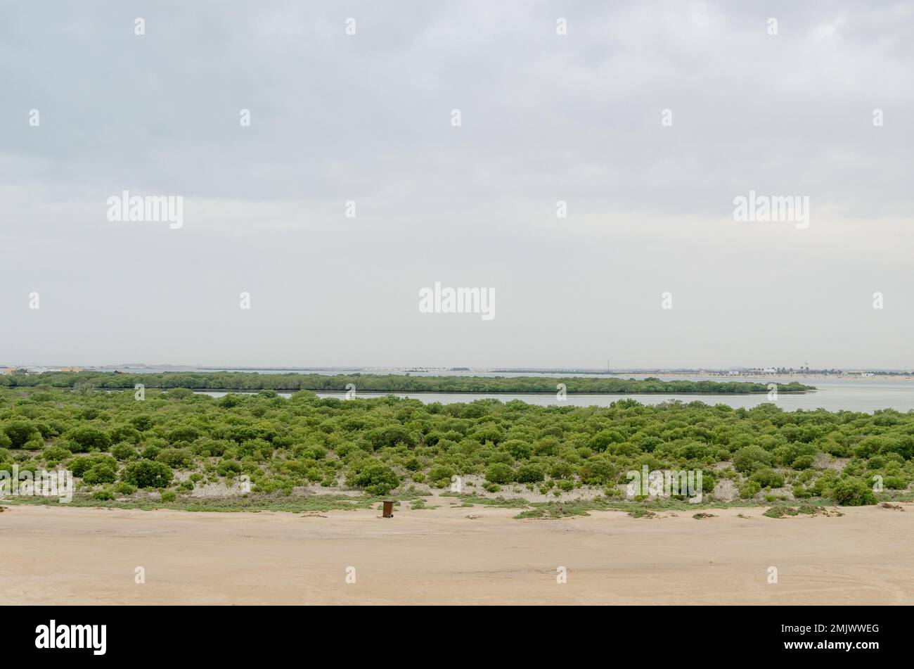 Incantevole bellezza dell'Isola Viola ad al Khor, Qatar Foto Stock