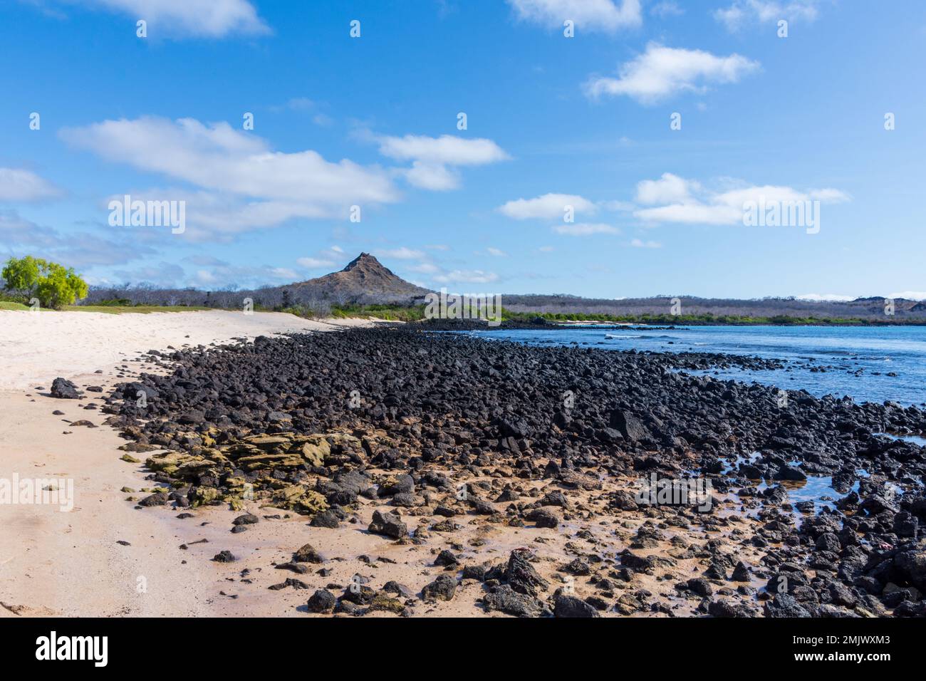 Una vista della spiaggia e delle rocce vulcaniche sull'isola di Santa Cruz (Isla Santa Cruz) nelle Galapagos, Ecuador. Foto Stock