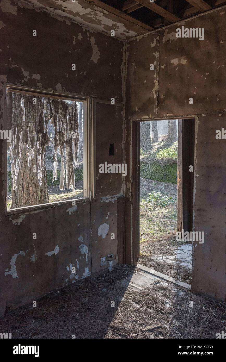 Caduta di neve, vista dall'interno di una stanza vuota e deserta in una vecchia stazione sciistica abbandonata nei boschi dell'Etna, Sicilia, Italia Foto Stock