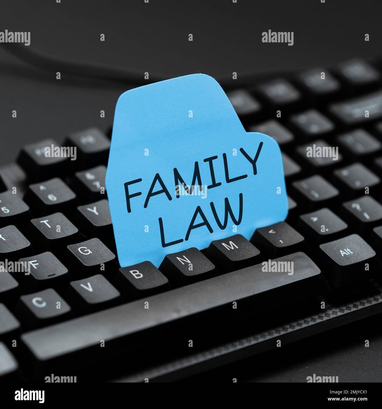 Scrittura visualizzazione testo diritto di famiglia. Panoramica aziendale ramo di diritto che si occupa di questioni relative alla famiglia Foto Stock