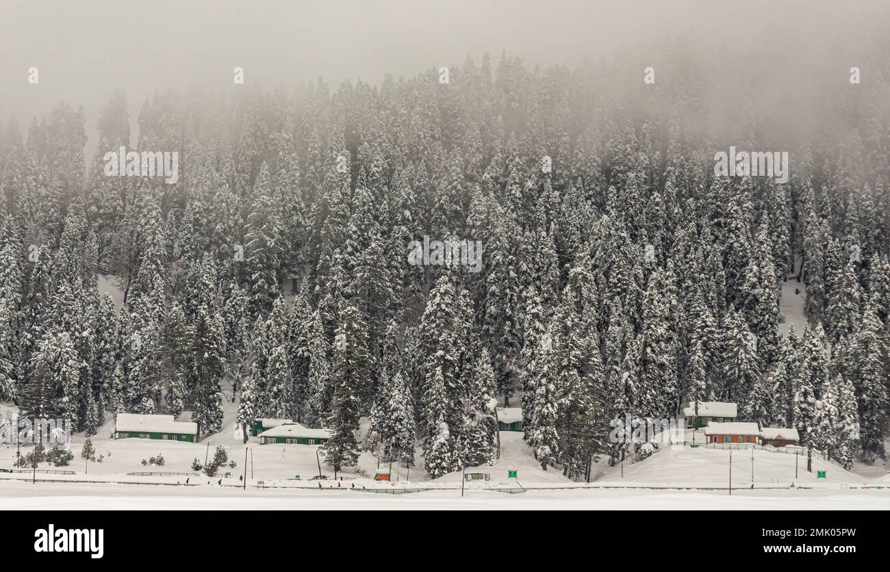 Bella vista di Gulmarg durante la stagione invernale circondato da montagne ghiacciate Himalaya ghiaccio e verde abete e pino nella foresta di Gulmarg. Foto Stock