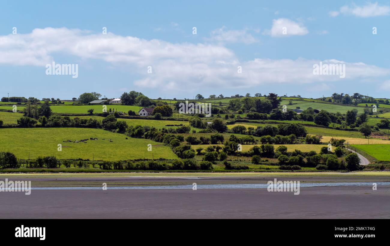 Nuvole bianche nel cielo, campagna. Verdi colline in estate. Campagna irlandese, Contea di Cork. Campo verde sotto nuvole bianche e cielo blu Foto Stock