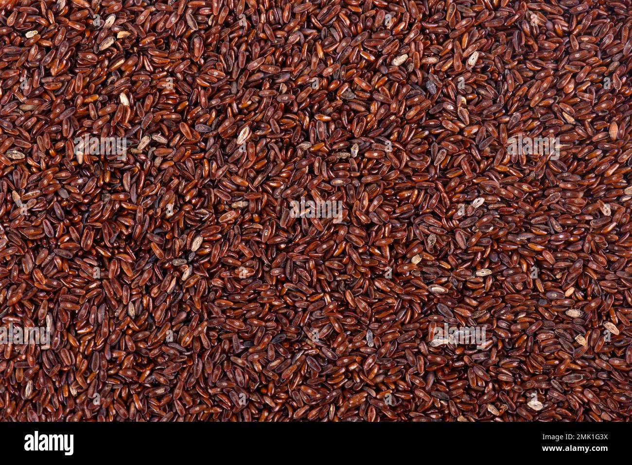 Semi di psyllium sfondo. Plantain o Plantago psyllium. Foto Stock