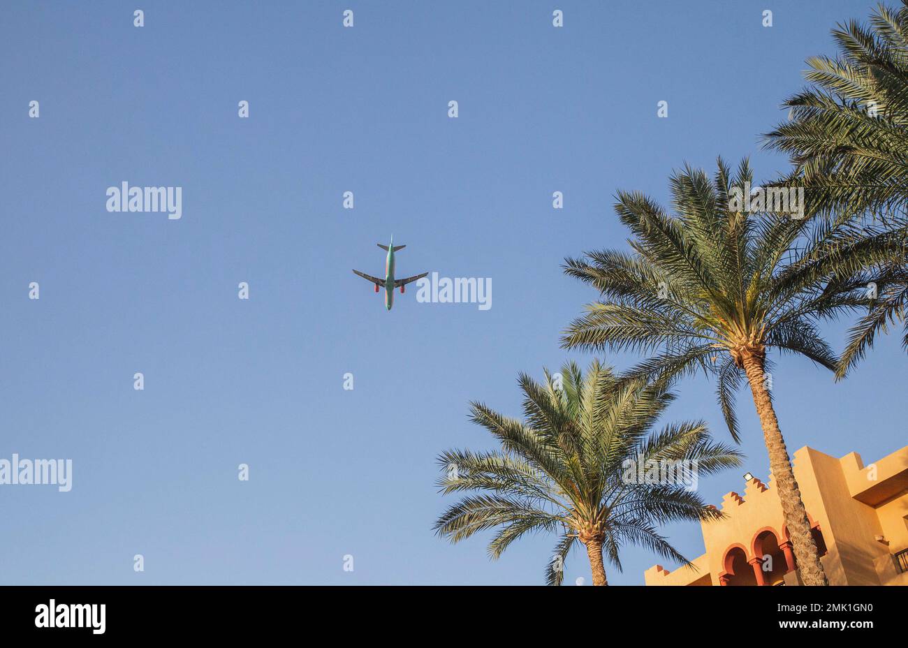Aereo nel cielo sopra le palme in Egitto Foto Stock
