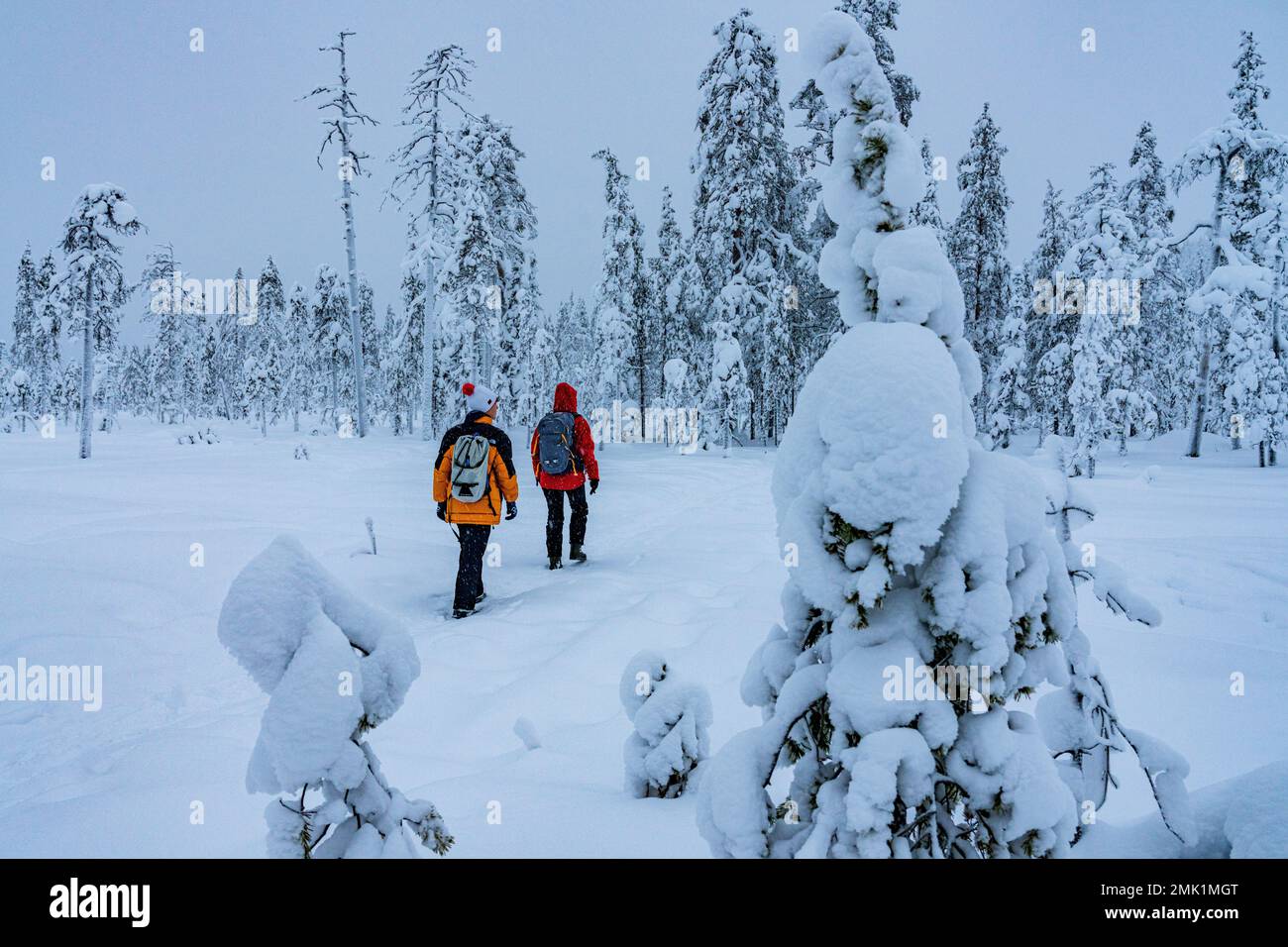 Ragazzo con madre che cammina su sentiero nella foresta innevata, ISO Syote, Ostrobothnia settentrionale, Lapponia, Finlandia Foto Stock