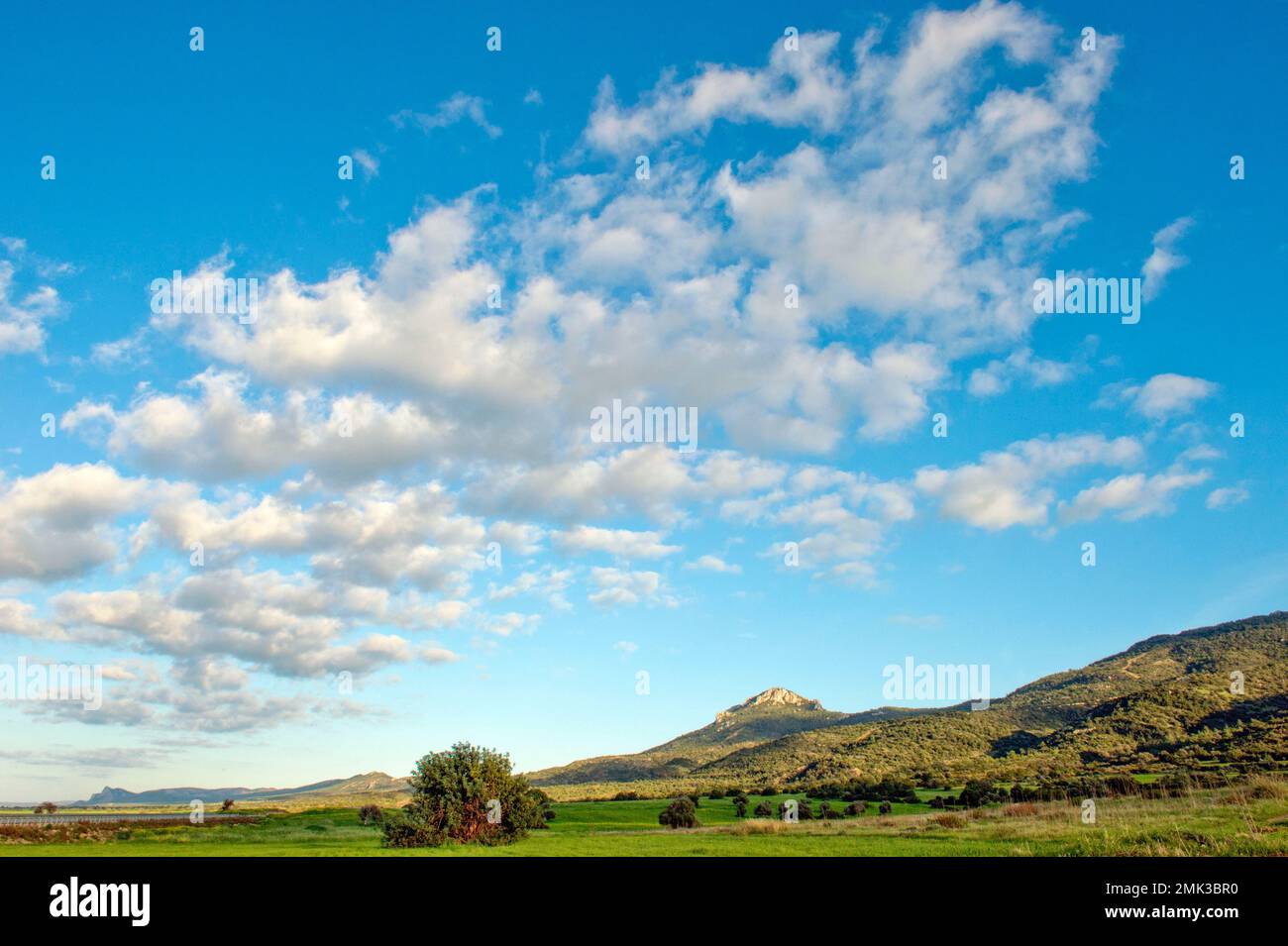 Paesaggio alla penisola di Karpaz Foto Stock