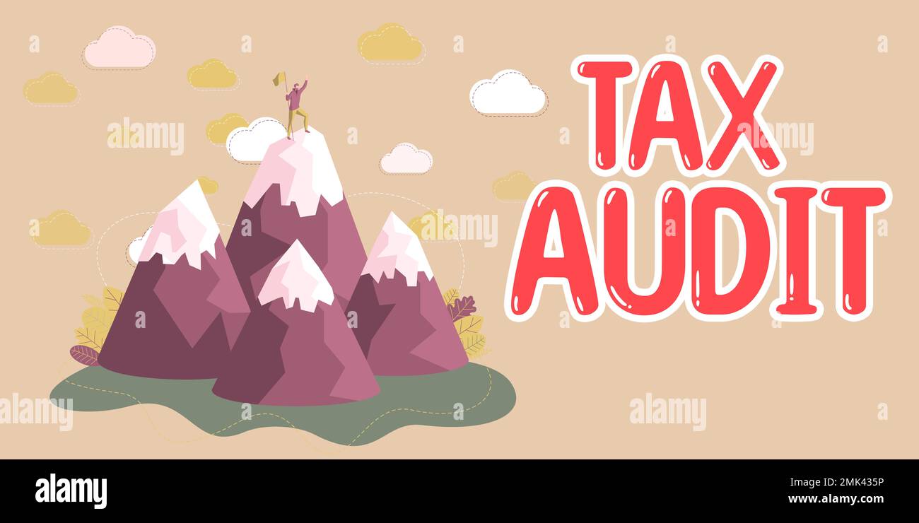 Cartello di testo che mostra la verifica fiscale. Parola scritta all'esame o alla verifica di una dichiarazione dei redditi aziendale o individuale Foto Stock