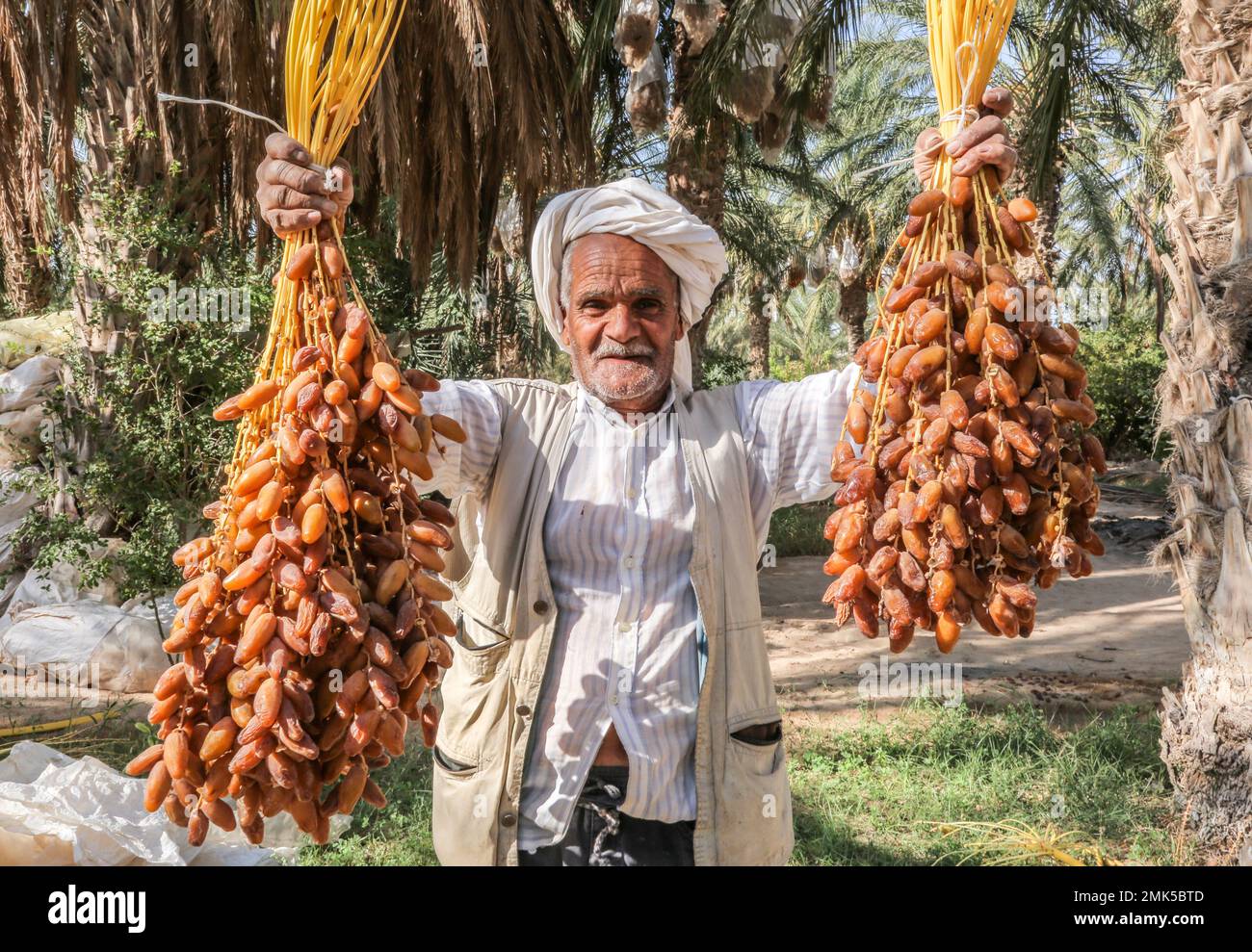 Kebili Dates Cluster è un gruppo di tre esportatori di date nel governatorato di Kebili. POSTI DI LAVORO hanno aiutato queste aziende -- Sonab CED, Sté ben Moussa e Cie, e Sté Laariba - a raggiungere nuovi clienti internazionali, portando a 89 nuovi posti di lavoro e un aumento del 35% delle vendite. Le aziende avevano ottenuto singolarmente i pre-ordini con acquirenti negli Stati Uniti, in Canada, in Francia e in Italia, ma dovevano soddisfare gli standard internazionali di sicurezza alimentare per finalizzare questi ordini. I POSTI DI LAVORO hanno fornito assistenza tecnica congiunta alle tre aziende per aiutarli ad ottenere la certificazione di sicurezza alimentare richiesta (ISO 22000). Foto Stock