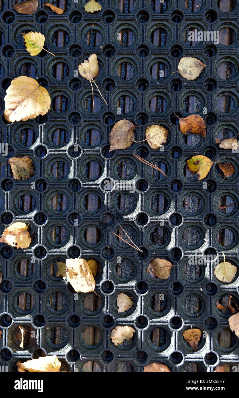 foglie autunnali sul tappetino esterno in gomma sporca Foto Stock