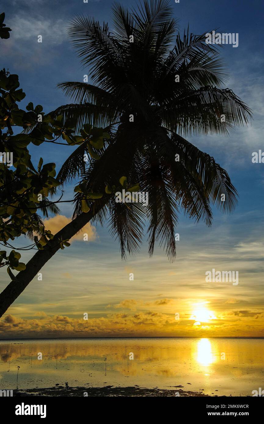 Tramonto nei mari del Sud, palme da cocco (Cocos nucifera) in primo piano, Yap Island, Micronesia, Oceania Foto Stock