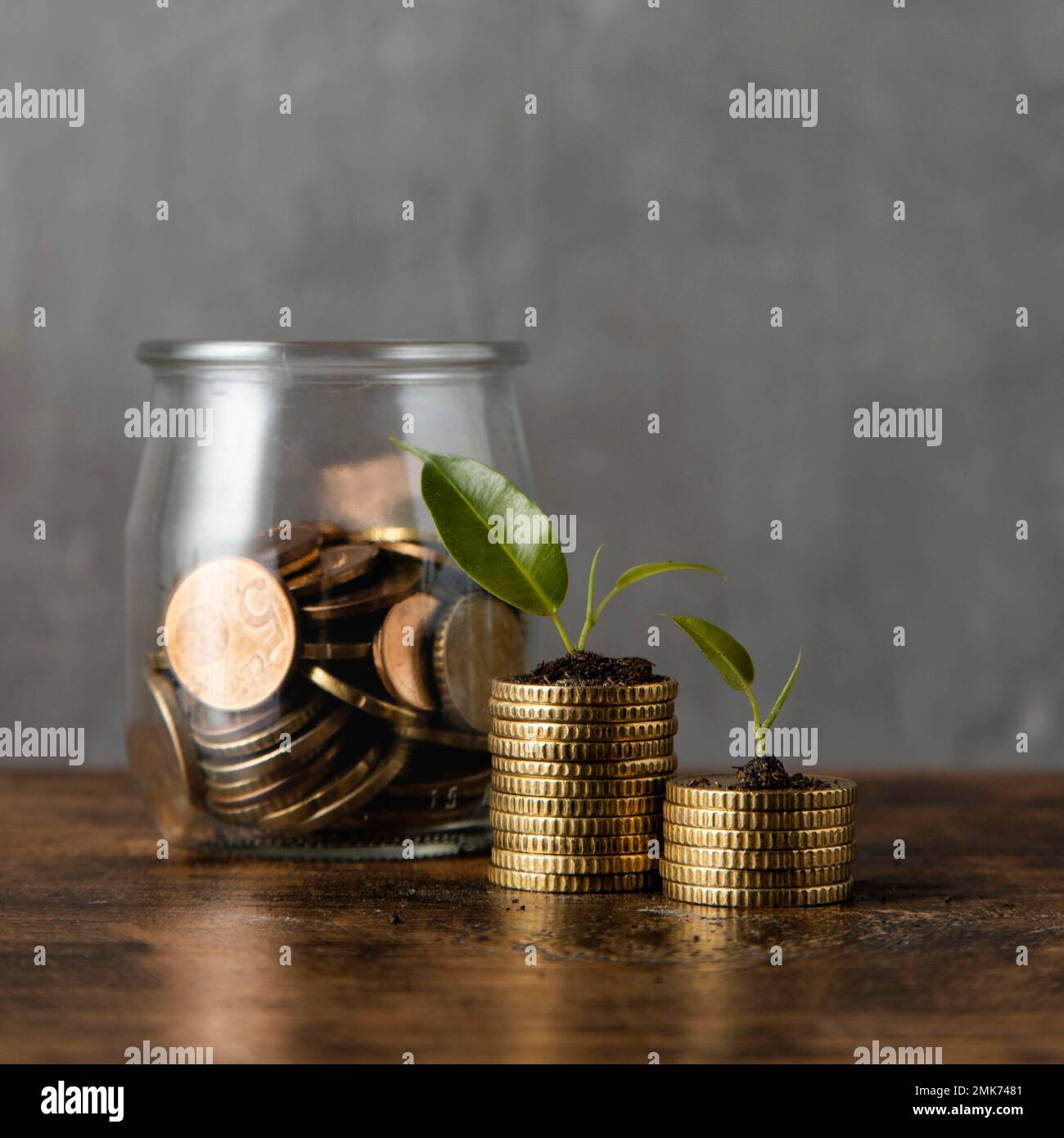 vista frontale due pile di monete con vaso piante. Foto ad alta risoluzione Foto Stock