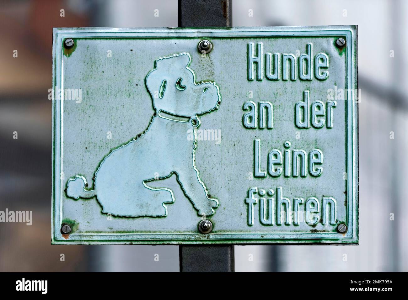 Vecchio segno sbiadito, tenere i cani al guinzaglio, Birstein, Vogelsberg, Main-Kinzig-Kreis, Assia, Germania Foto Stock