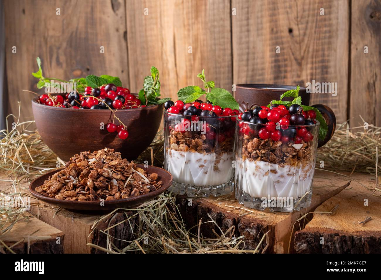 Frutti di bosco freschi e yogurt. Colazione sana con frutti di bosco. Cibo e dieta sani. Ceramica e fieno. Vista frontale. Foto Stock