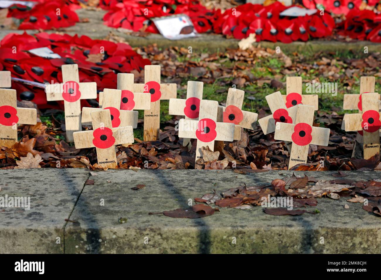 Papaveri, ghirlande e croci, St Fagans, Cardiff, Galles del Sud. Gennaio 2023. Inverno Foto Stock