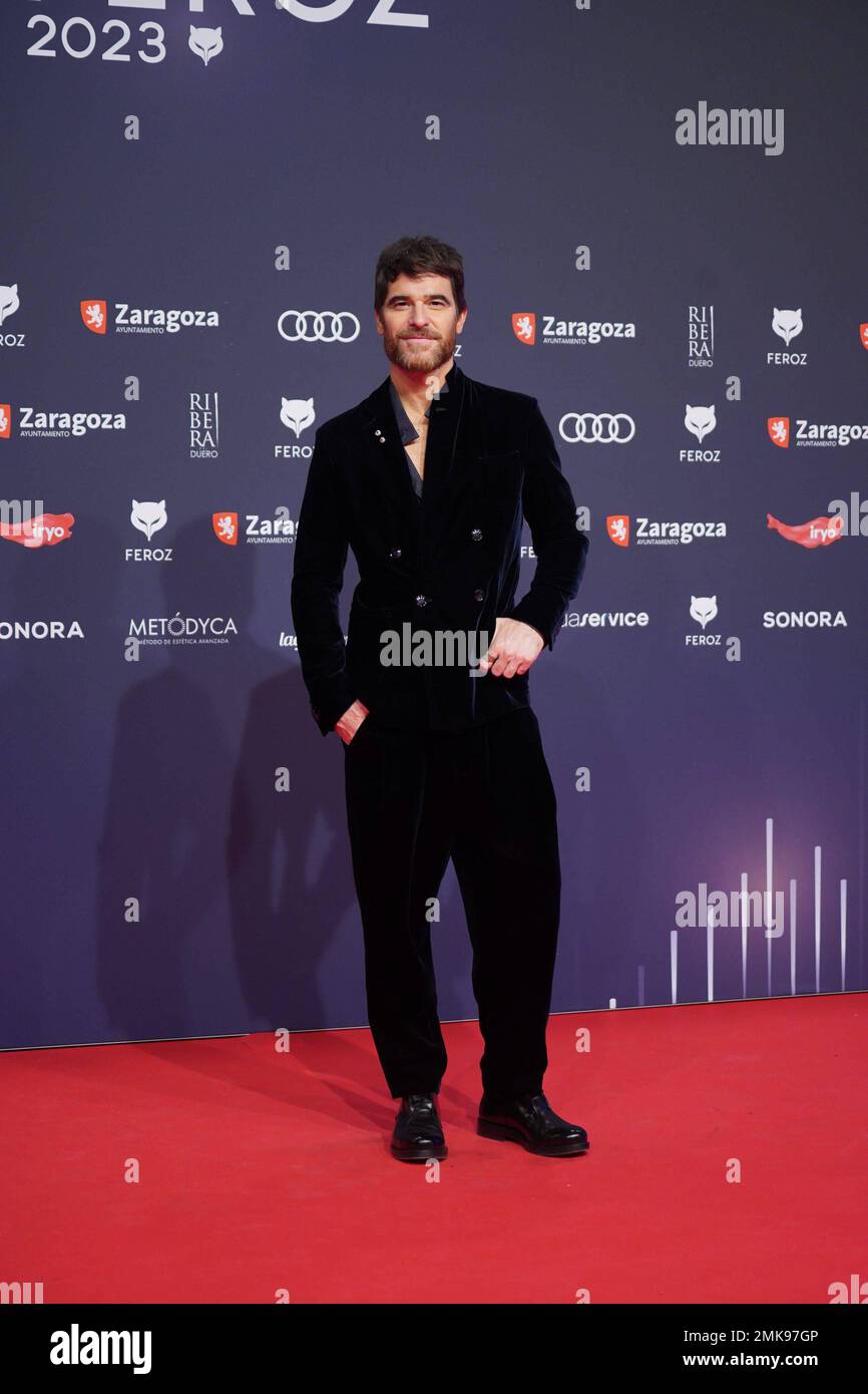 Zaragoza, Spagna. 28th Jan, 2023. Alfonso Bassave a photocall per il 10th° Premio annuale di Feroz a Saragozza sabato 28 gennaio 2023. Credit: STAMPA CORDON/Alamy Live News Foto Stock