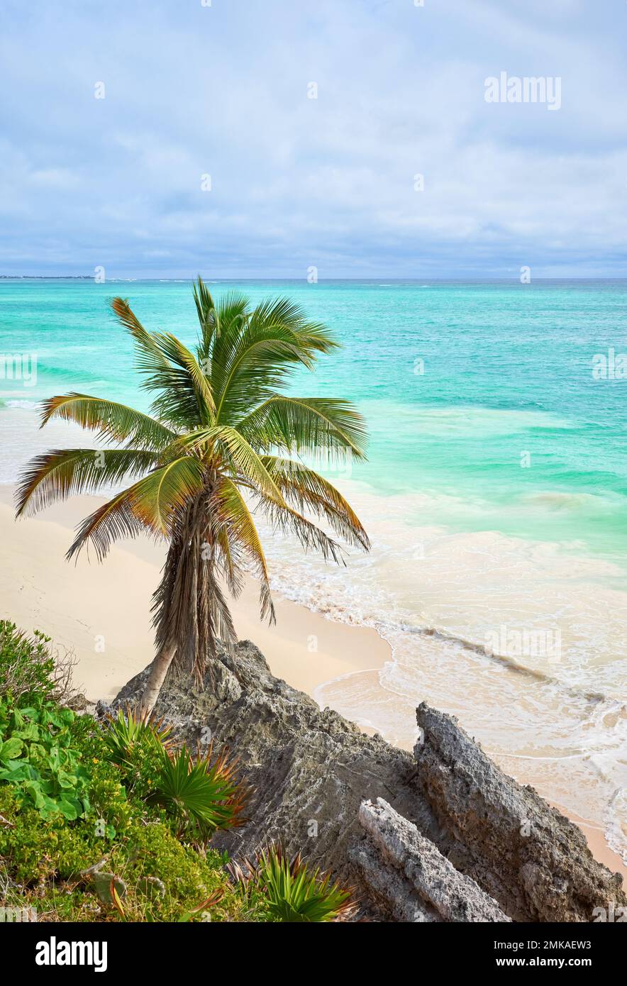 Spiaggia tropicale di Tulum, Penisola dello Yucatan, Messico. Foto Stock