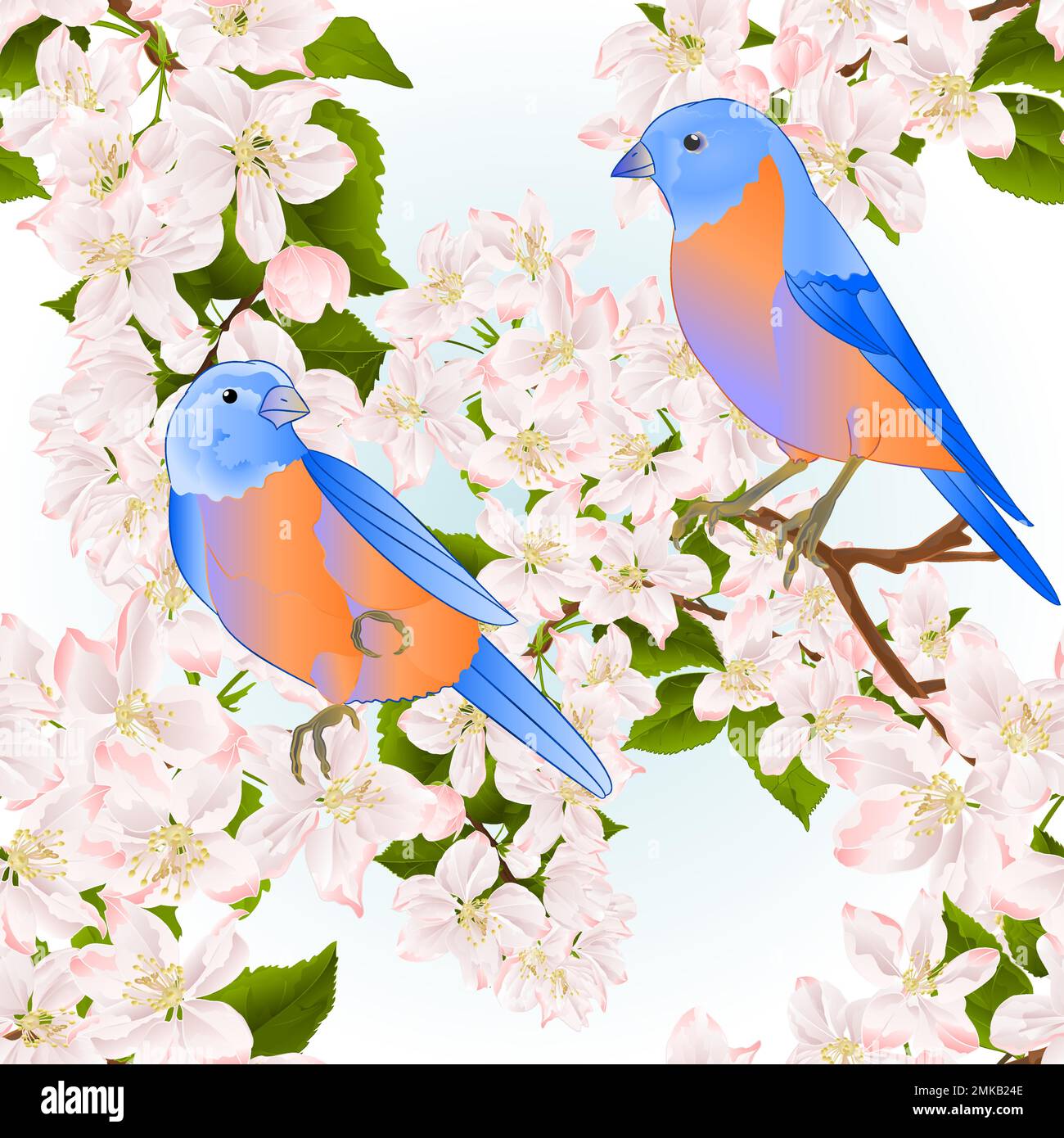 Texture senza cuciture piccoli uccelli thrush Bluebird su un albero di mela con fiori vintage vettore illustrazione modificabile disegno a mano Illustrazione Vettoriale