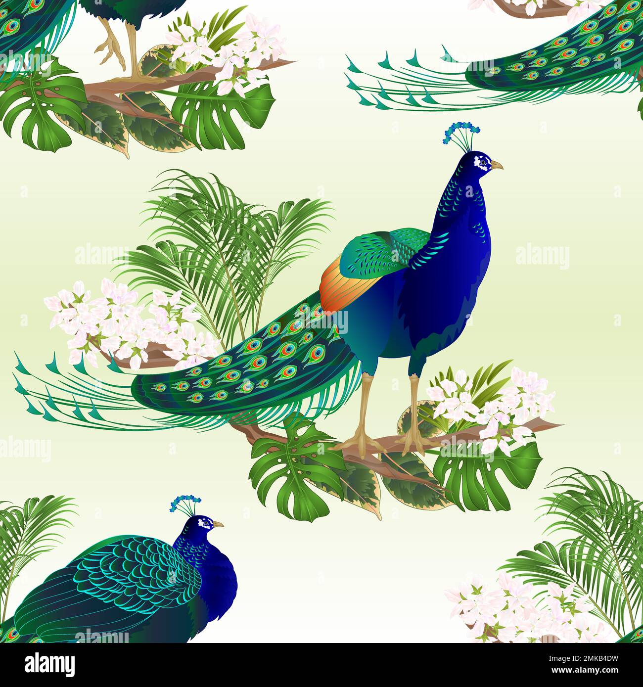 Texture senza cuciture pavoni bellezza uccelli esotici fiori naturali e tropicali acquerello vintage vettore illustrazione modificabile disegnato a mano Illustrazione Vettoriale
