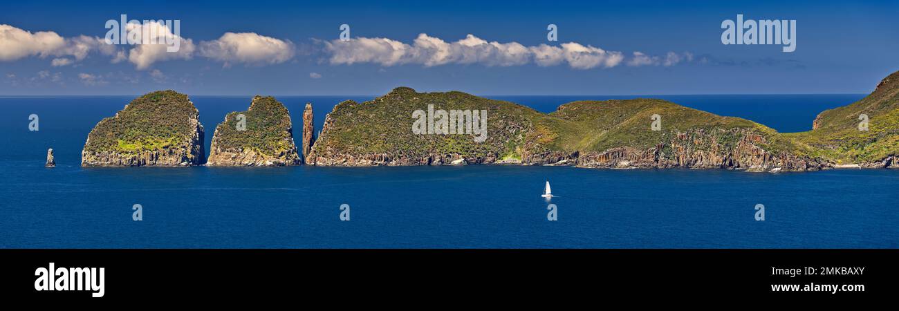 Penisola di Cape Huay, formazioni costiere delle isole dolerite nel Tasman National Park, Tasmania, Australia Foto Stock