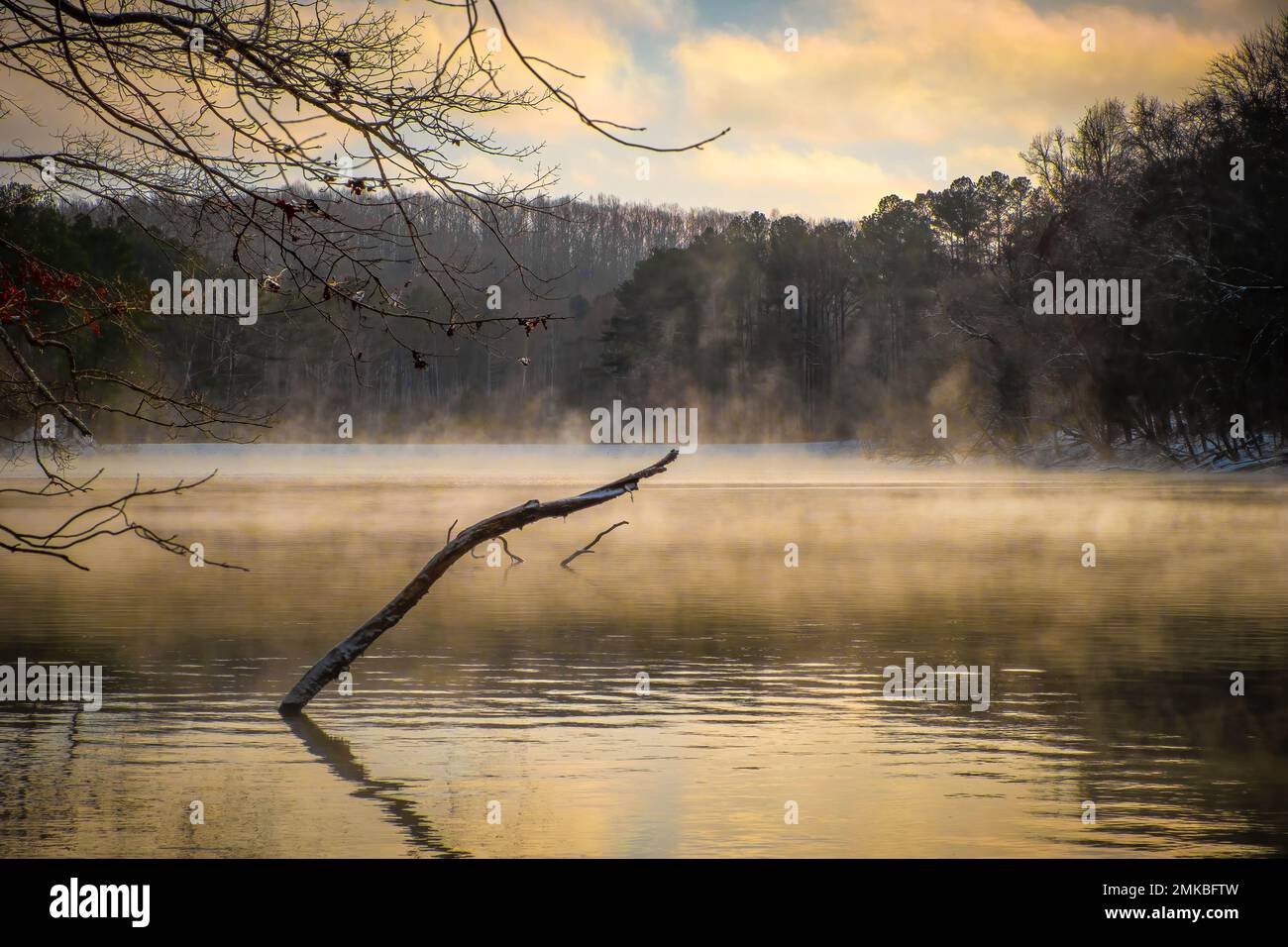 Una scena invernale spaventosa ai Grundy Lakes del sistema South Cumberland state Park nel Tennessee. Foto Stock