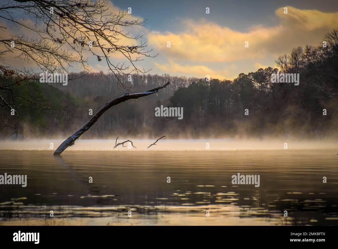 Un'atmosfera invernale allegra presso i Grundy Lakes del sistema South Cumberland state Park nel Tennessee. Foto Stock