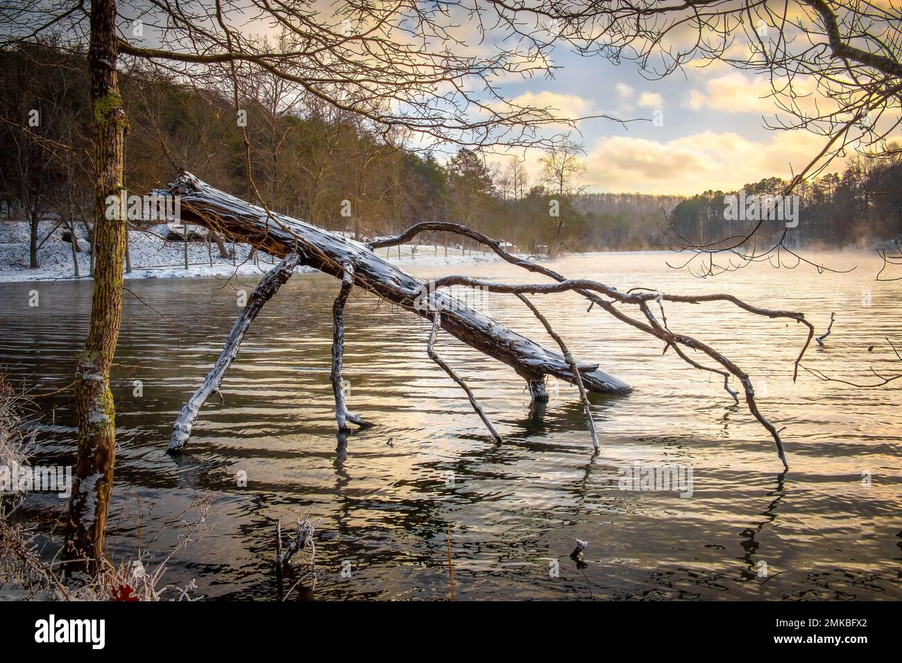 Serenità invernale ai Grundy Lakes del South Cumberland state Park nel Tennessee. Foto Stock