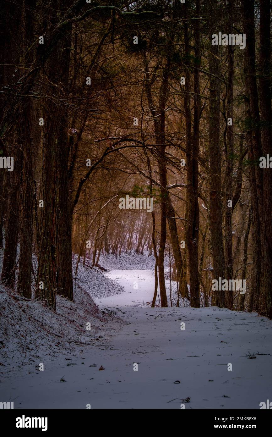 Vibrazioni positive con sentieri più luminosi. Grundy Lakes del sistema South Cumberland state Park nel Tennessee. Foto Stock