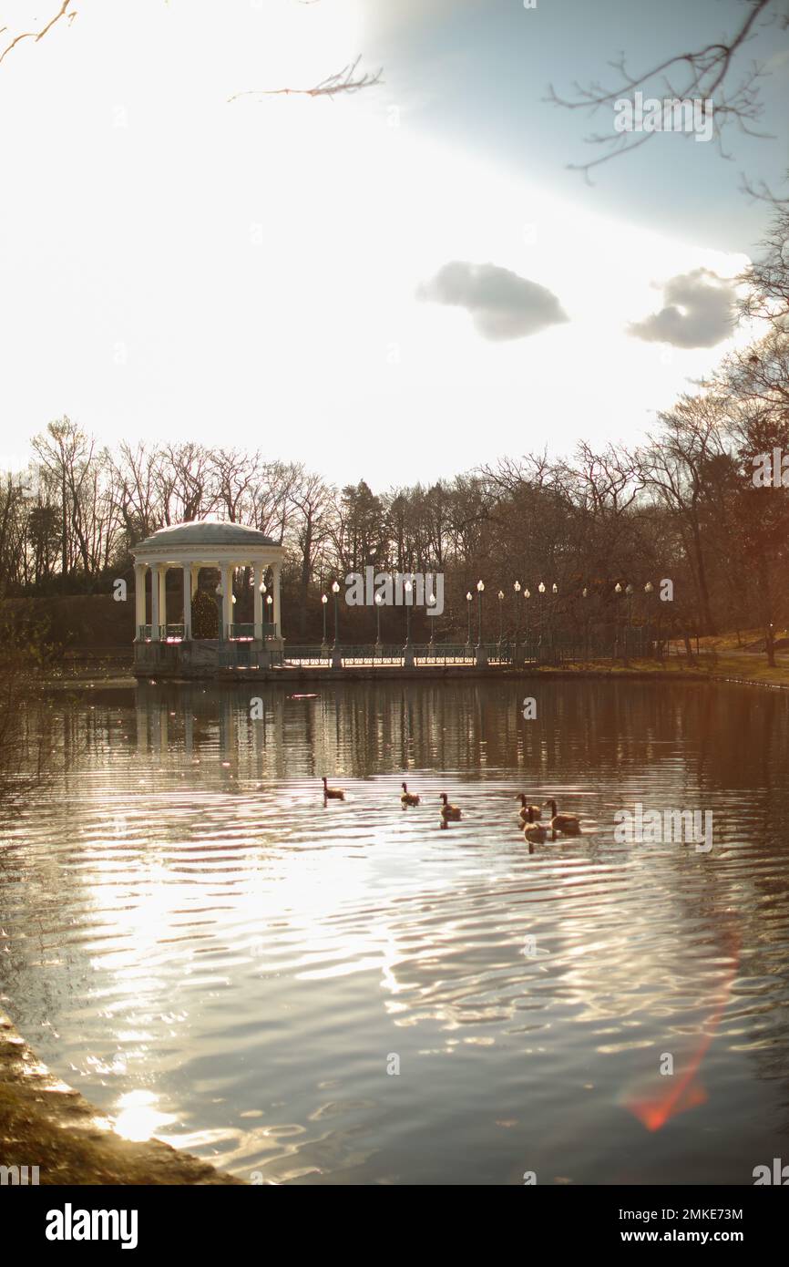 Parco Estate anatre sereno tramonto natura sera Foto Stock