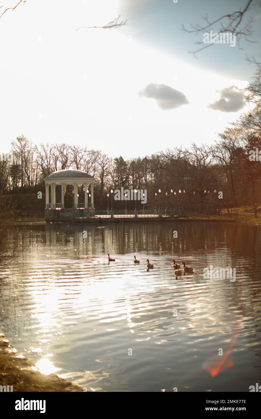 Parco Estate anatre sereno tramonto natura sera Foto Stock