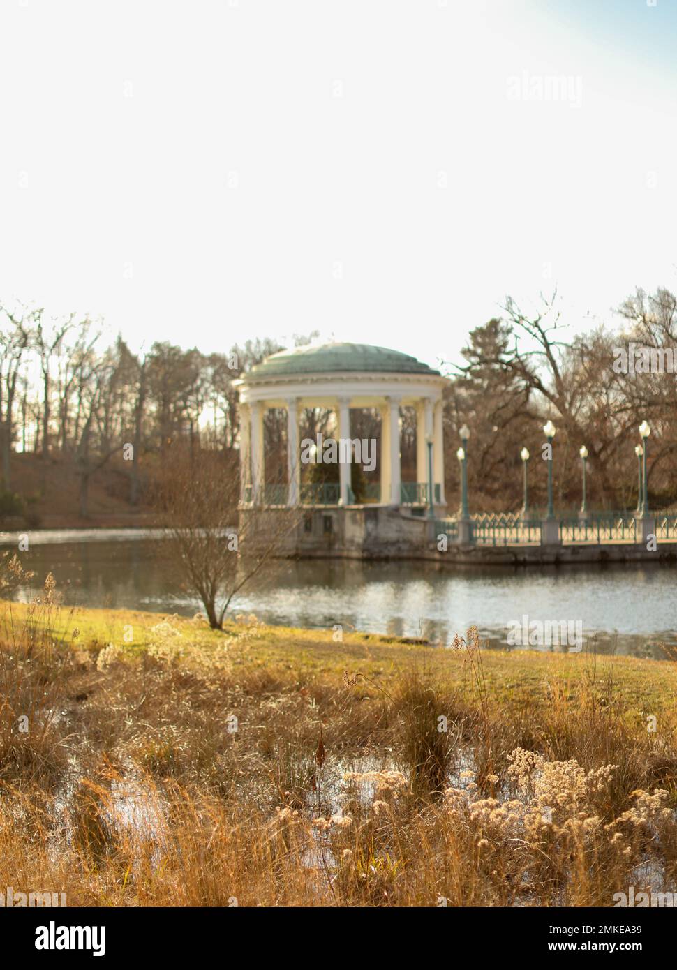 Parco Estate anatre sereno tramonto natura sera Foto Stock