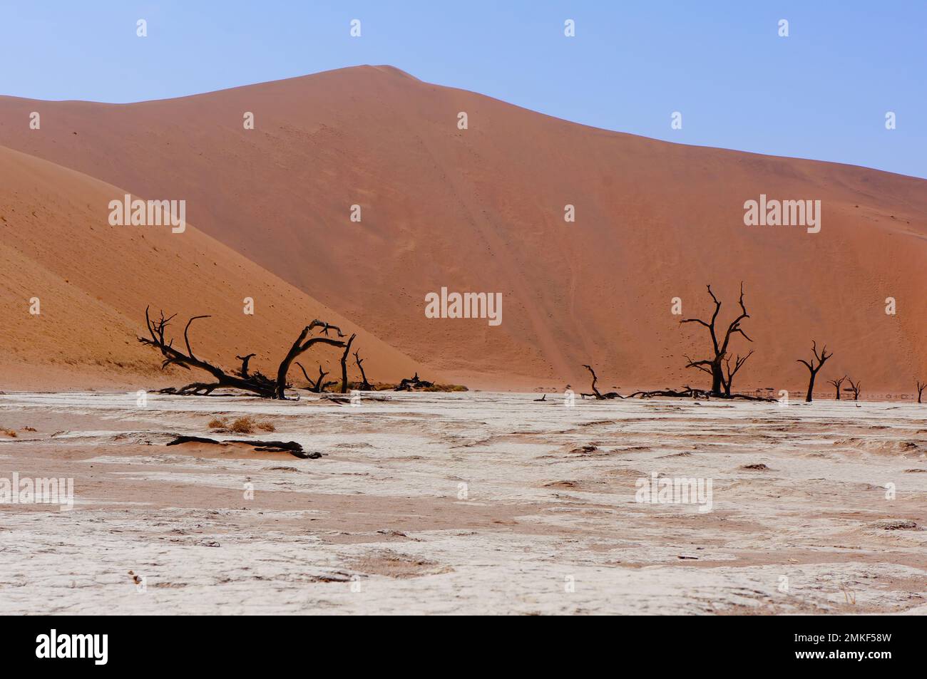 Valle dei morti, Namibia Foto Stock