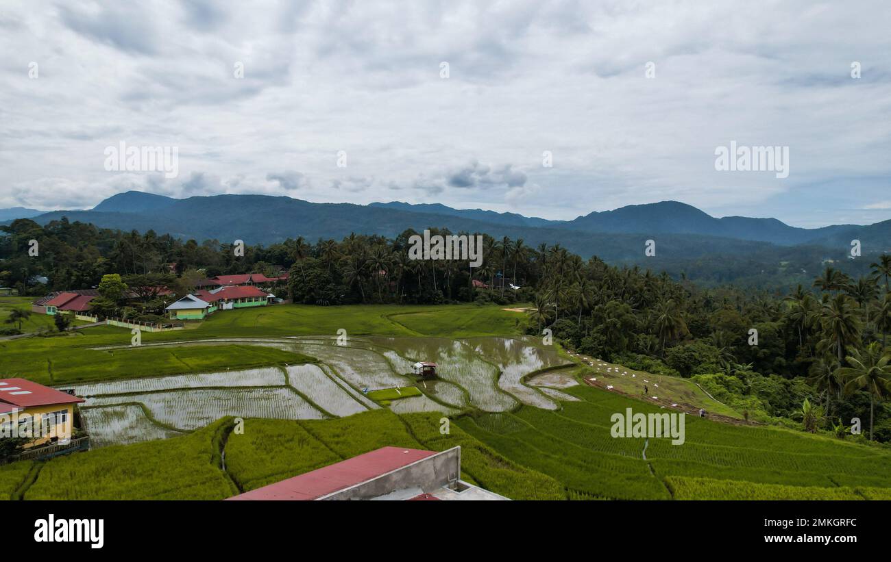 Veduta aerea del campo di riso verde terrazzato a Bukittinggi, Sawah batipuh, sumatra occidentale, Indonesia. Indonesia meravigliosa. Bukittinggi, Indonesia, gennaio Foto Stock