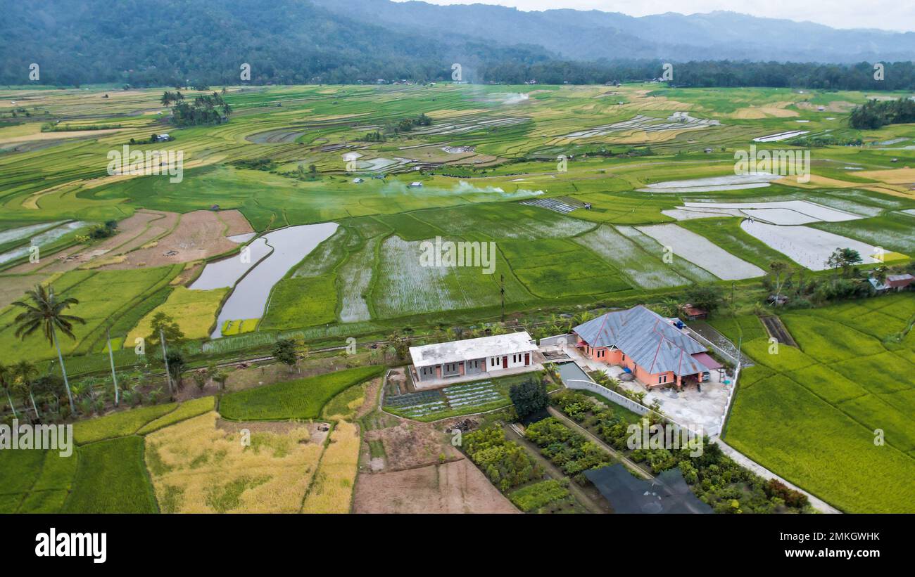 Veduta aerea del campo di riso verde terrazzato a Bukittinggi, Sawah batipuh, sumatra occidentale, Indonesia. Indonesia meravigliosa. Bukittinggi, Indonesia, gennaio Foto Stock