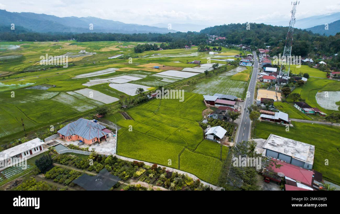 Veduta aerea del campo di riso verde terrazzato a Bukittinggi, Sawah batipuh, sumatra occidentale, Indonesia. Indonesia meravigliosa. Bukittinggi, Indonesia, gennaio Foto Stock