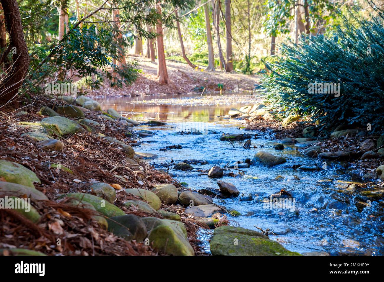 Splendido paesaggio naturale primaverile con fiume e pietra. Foto Stock