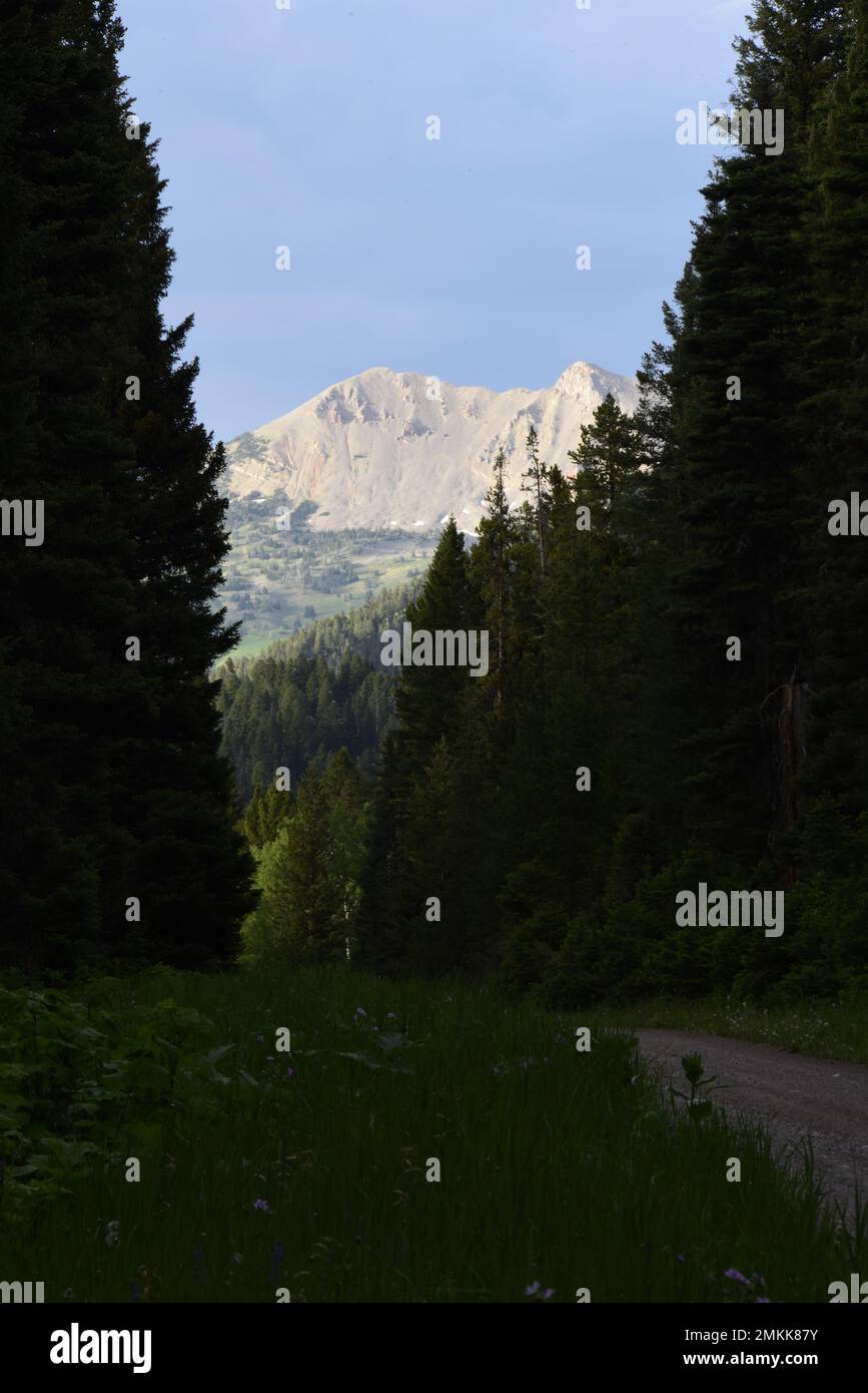 Le Centennial Mountains per il confine tra Idaho e Montana dall'Interstate 15 a West Yellowstone Foto Stock